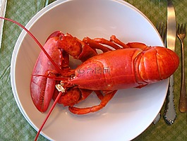 龙虾,缅因州,晚餐