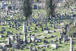 墳場,墳?zāi)?死