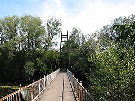 橋,人行道,樹木