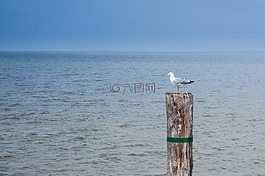 水,海,海灘