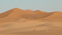 沙丘,砂,沙漠