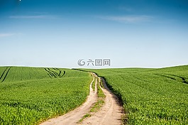 巷,沙,種子
