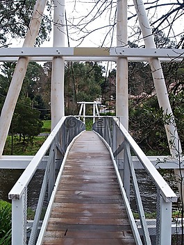 橋,行人天橋,懸索橋