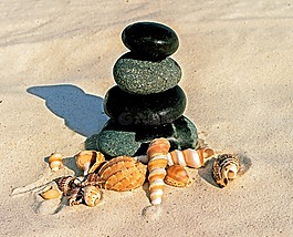 石頭,海貝殼,海灘