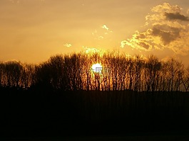 背景,晚上,日落