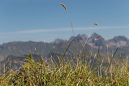 山,恢復(fù),天空