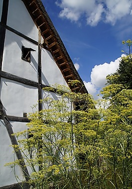 巴赫ritterburg,骑士的城堡,城堡