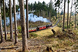 蒸汽機(jī)車,在樹脂,鐵路