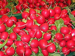 蘿卜,蔬菜,食品