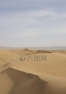 沙漠,沙丘,砂