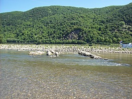 德國,山,森林
