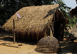 秸秆的小屋,首页,房子