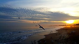 日落,海