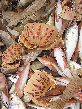 貝類,海鮮,市場