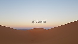 自然,日落,樹