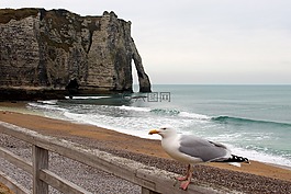 etretat,法國,巖