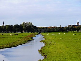 荷蘭,景觀,溪
