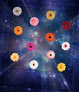 花,多彩,开花