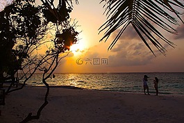 愛,海灘,海