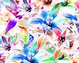 蘭花,鮮花,廠