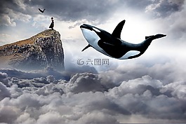 天空,自然,戶外
