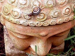 蝸牛,爬行動物,性質(zhì)