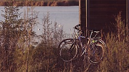 自行車,植物,湖