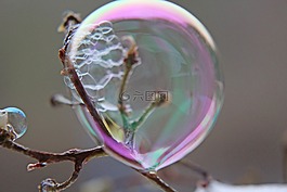紫,背景,肥皂泡沫