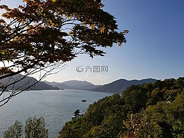 湖,森林,旅行