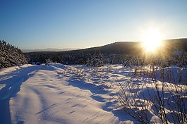 冬季,雪,村