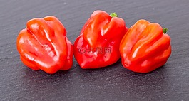 辣椒粉,水果,辣椒