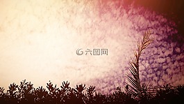 棕榈,天空,云 inorat