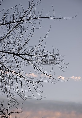 分支機(jī)構(gòu),天空,云