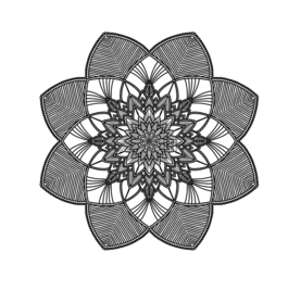 曼陀羅,模式,白