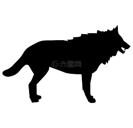 狼,動物,野生