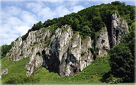 开国元勋,波兰,景观