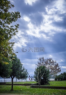 湖,樹,天空