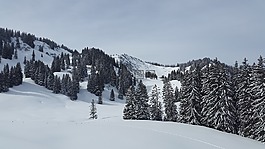 大牛頭,阿爾高,gunzesrieder 谷