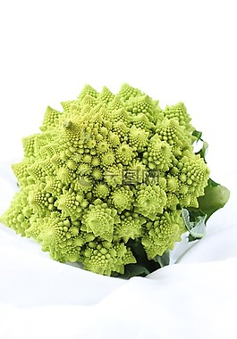 植物,綠色,葉子