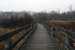 路徑,走道,公園