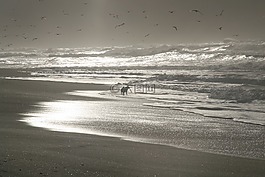 海灘,海,加利西亞