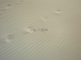 北海,海灘,沙