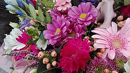 花卉,花束,精裝花