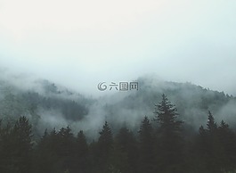 自然,景觀,山