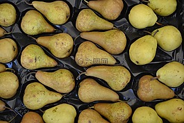 梨,水果,秋季