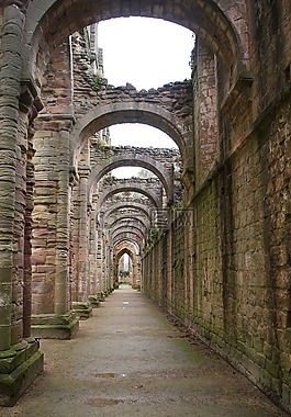 喷泉修道院,cistercian 修道院,废墟