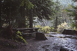 野餐桌,雨,濕