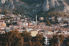 家庭,房子,树