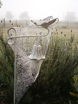 蜘蛛,web,蜘蛛網(wǎng)