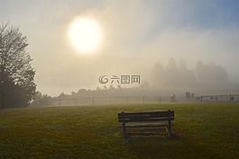 日出,霧,原野